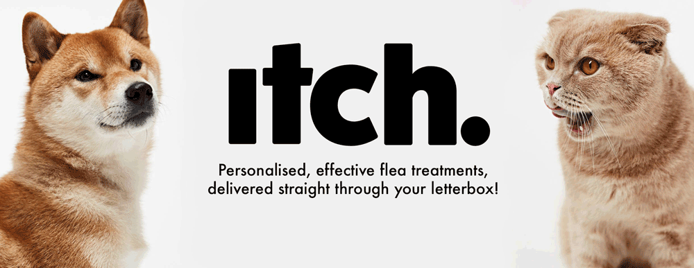 Itch Pet