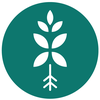 Bloombox Club
