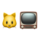 CAT TV