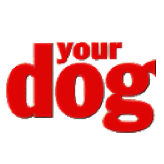 YOUR DOG